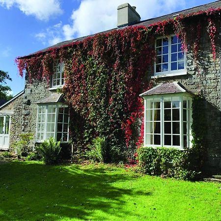 Pontyclerc Farm House Bed And Breakfast Аманфорд Екстериор снимка
